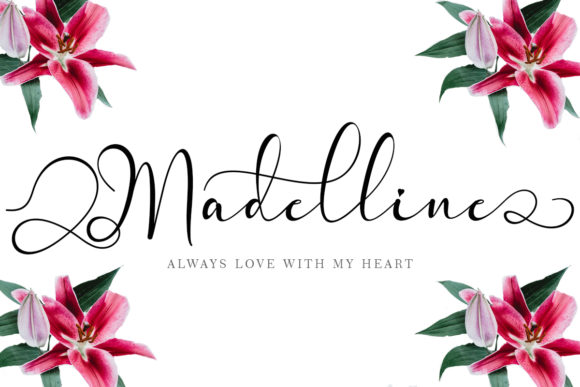 Madelline Font Review