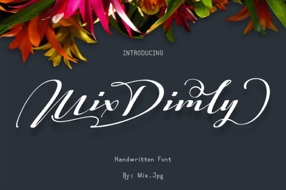 Mix Dimly Font Review