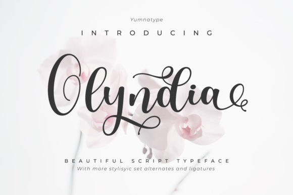 Olyndia: A Elegant Handwritten Font