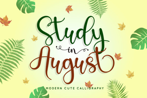 Study in August Font for Business