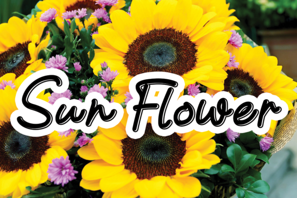 Sun Flower: A Font for Impactful Campaigns