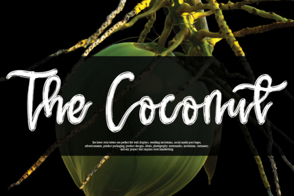 The Coconut